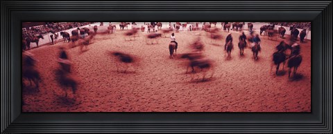 Framed Rodeo arena, Fort Worth Stock Show and Rodeo, Fort Worth, Texas, USA Print