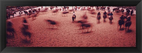 Framed Rodeo arena, Fort Worth Stock Show and Rodeo, Fort Worth, Texas, USA Print