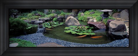 Framed Japanese Garden, University of California, Los Angeles Print
