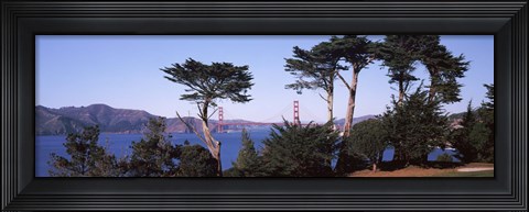Framed Suspension bridge across a bay, Golden Gate Bridge, San Francisco Bay, San Francisco, California, USA Print