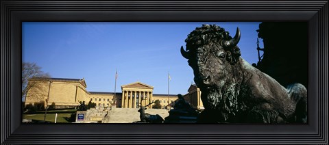 Framed Sculpture of a buffalo with a museum in the background, Philadelphia Museum Of Art, Philadelphia, Pennsylvania, USA Print