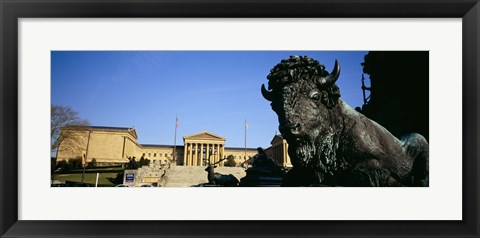 Framed Sculpture of a buffalo with a museum in the background, Philadelphia Museum Of Art, Philadelphia, Pennsylvania, USA Print