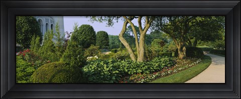 Framed Plants in a garden, Bahai Temple Gardens, Wilmette, New Trier Township, Chicago, Cook County, Illinois, USA Print