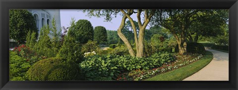 Framed Plants in a garden, Bahai Temple Gardens, Wilmette, New Trier Township, Chicago, Cook County, Illinois, USA Print