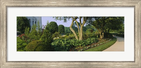 Framed Plants in a garden, Bahai Temple Gardens, Wilmette, New Trier Township, Chicago, Cook County, Illinois, USA Print