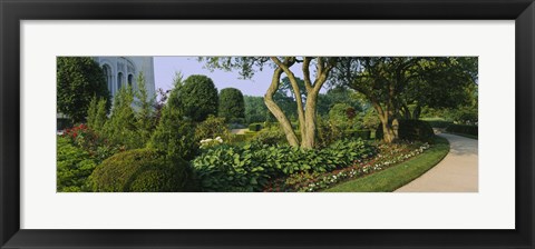 Framed Plants in a garden, Bahai Temple Gardens, Wilmette, New Trier Township, Chicago, Cook County, Illinois, USA Print