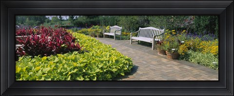 Framed Botanical garden, Circle Garden, Chicago Botanic Garden, Glencoe, Cook County Forest Preserves, Cook County, Illinois, USA Print
