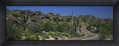 Framed Road Through The Desert, Phoenix, Arizona, USA Print