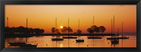 Framed Silhouette of sailboats in a lake, Lake Michigan, Chicago, Illinois, USA Print