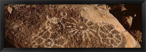 Framed Close-up of petroglyphs on a rock, Saguaro National Park, Tucson, Arizona, USA Print