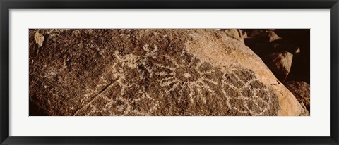 Framed Close-up of petroglyphs on a rock, Saguaro National Park, Tucson, Arizona, USA Print