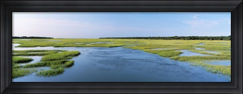 Framed Sea grass in the sea, Atlantic Coast, Jacksonville, Florida, USA Print