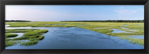 Framed Sea grass in the sea, Atlantic Coast, Jacksonville, Florida, USA Print