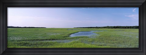 Framed USA, Florida, Jacksonville, Atlantic Coast, Salt Marshes Print