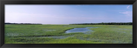 Framed USA, Florida, Jacksonville, Atlantic Coast, Salt Marshes Print