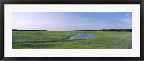 Framed USA, Florida, Jacksonville, Atlantic Coast, Salt Marshes Print