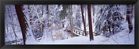 Framed Winter footbridge Cleveland Metro Parks, Cleveland OH USA Print