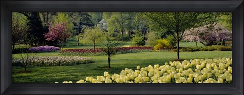 Framed Sherwood Gardens, Baltimore, Maryland Print