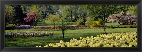 Framed Sherwood Gardens, Baltimore, Maryland Print