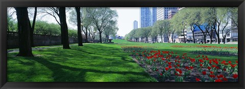 Framed Public Gardens, Loop, Cityscape, Grant Park, Chicago, Illinois, USA Print