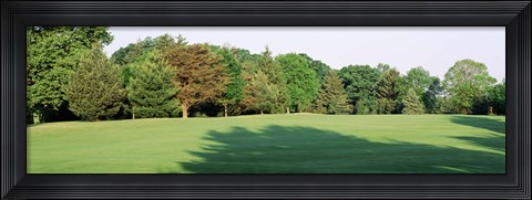 Framed Trees on a golf course, Woodholme Country Club, Baltimore, Maryland, USA Print