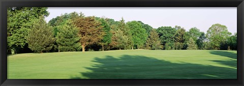 Framed Trees on a golf course, Woodholme Country Club, Baltimore, Maryland, USA Print