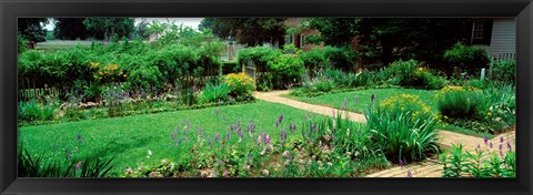 Framed USA, Virginia, Williamsburg, colonial garden Print