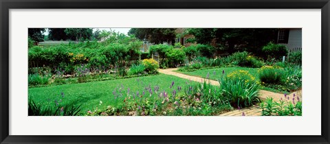 Framed USA, Virginia, Williamsburg, colonial garden Print
