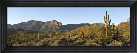 Framed Hiker standing on a hill, Phoenix, Arizona, USA Print