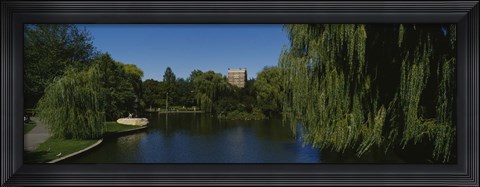 Framed Boston Public Garden, Boston, Massachusetts Print