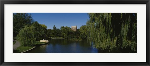 Framed Boston Public Garden, Boston, Massachusetts Print