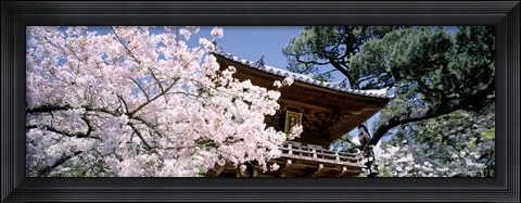 Framed Golden Gate Park, Japanese Tea Garden Print