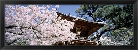 Framed Golden Gate Park, Japanese Tea Garden Print