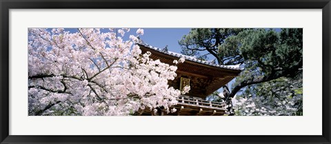 Framed Golden Gate Park, Japanese Tea Garden Print