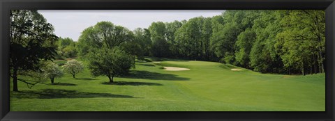 Framed Trees On A Golf Course, Baltimore Country Club, Baltimore, Maryland, USA Print