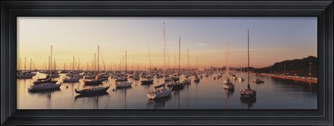 Framed Sunset &amp; harbor Chicago IL USA Print