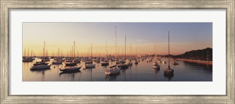 Framed Sunset &amp; harbor Chicago IL USA Print