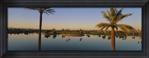Framed Palm trees at the lakeside, Phoenix, Maricopa County, Arizona, USA Print