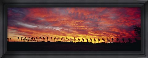 Framed Silhouette of palm trees at sunrise, San Diego, San Diego County, California, USA Print