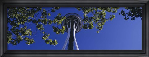 Framed Space Needle Maple Trees Seattle Center Seattle WA USA Print
