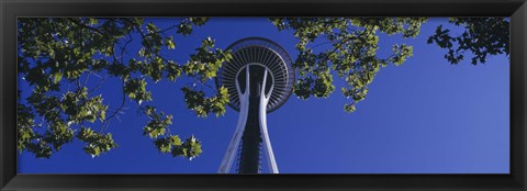 Framed Space Needle Maple Trees Seattle Center Seattle WA USA Print