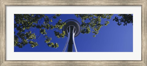 Framed Space Needle Maple Trees Seattle Center Seattle WA USA Print