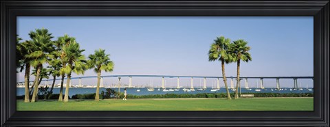 Framed Palm trees on the coast with bridge in the background, Coronado Bay Bridge, San Diego, San Diego County, California, USA Print