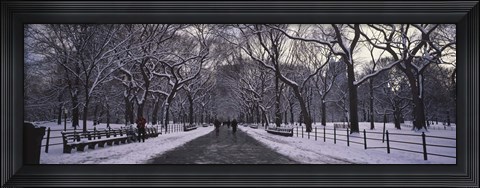 Framed Bare trees in a park, Central Park, New York City, New York State, USA Print