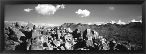 Framed Boulders on a landscape, Saguaro National Park, Tucson, Pima County, Arizona, USA Print