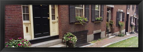 Framed Potted plants outside a house, Acorn Street, Beacon Hill, Boston, Massachusetts, USA Print