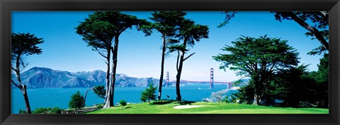 Framed Golf Course w\ Golden Gate Bridge San Francisco CA USA Print