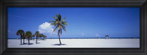 Framed Palm Trees in Miami Print