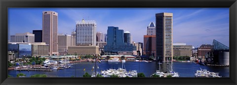 Framed Inner Harbor Federal Hill Skyline Baltimore MD Print