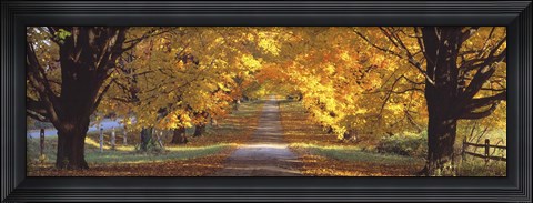 Framed Road, Baltimore County, Maryland, USA Print